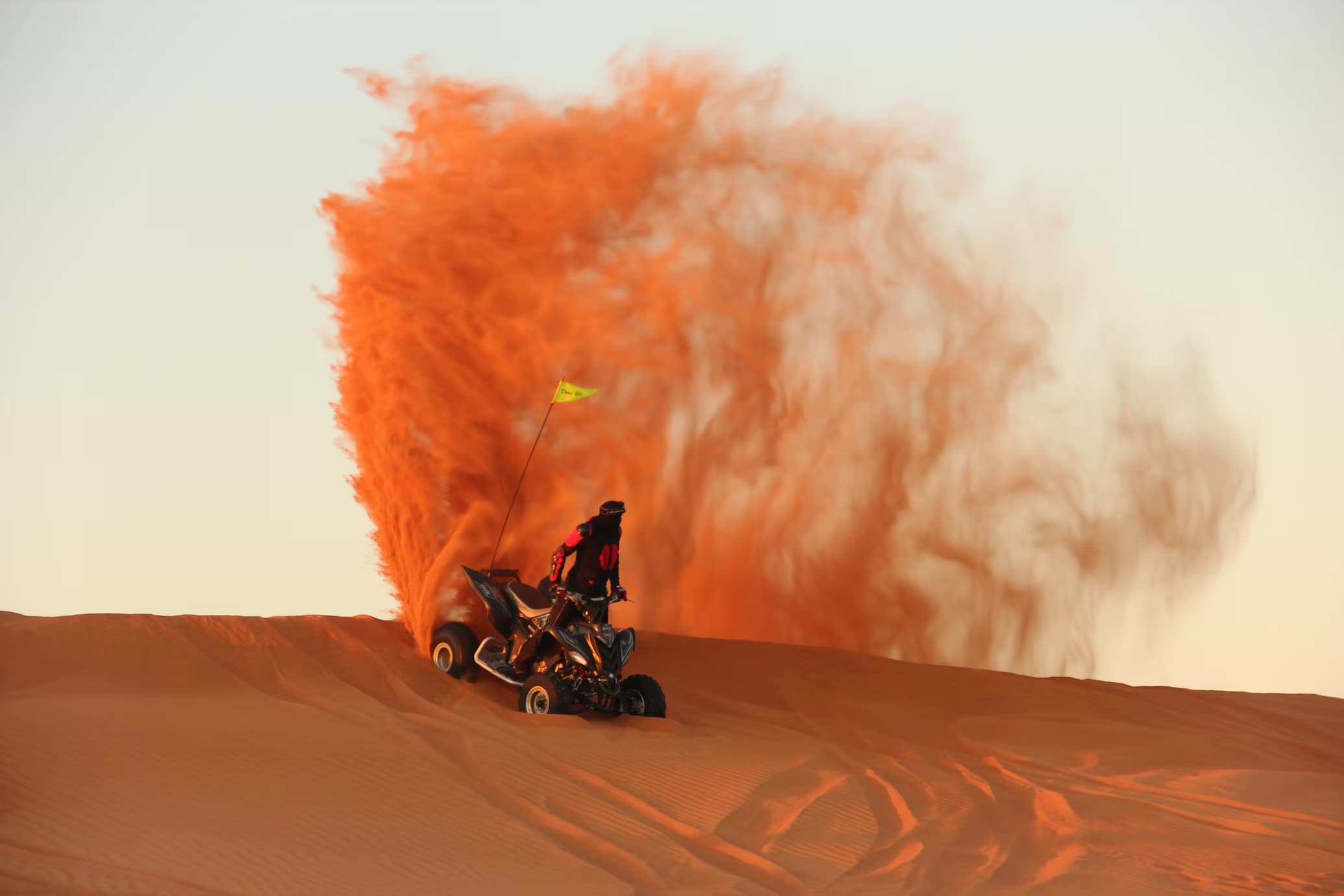 Quad et buggy