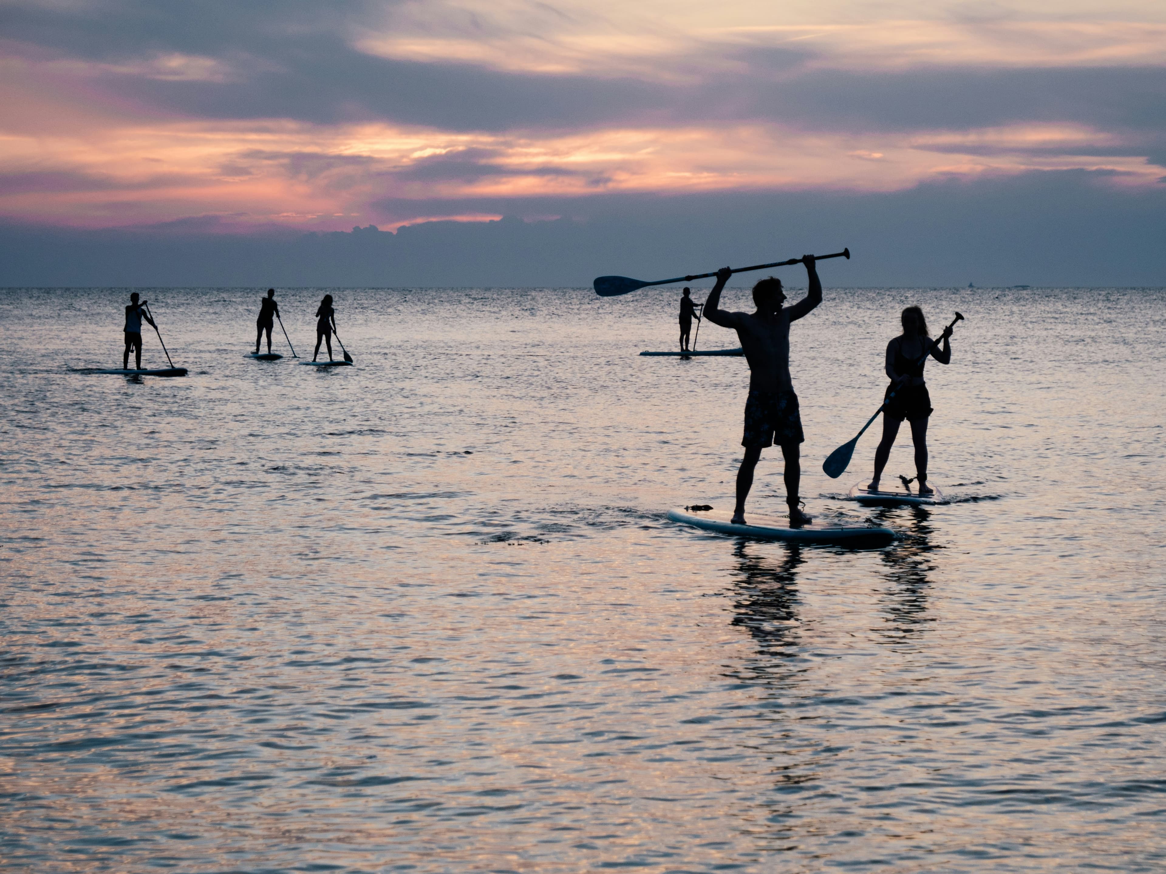 Paddle